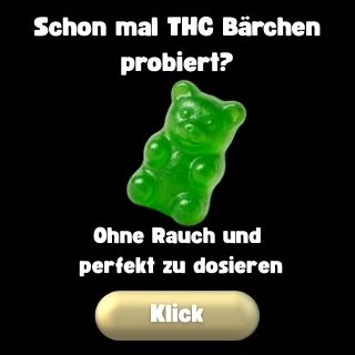 Spliff Store - THC Bärchen